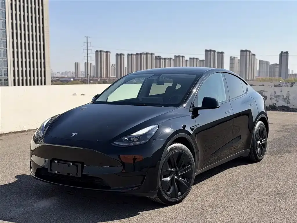 Tesla Model Y 2022 из CN, фото 1