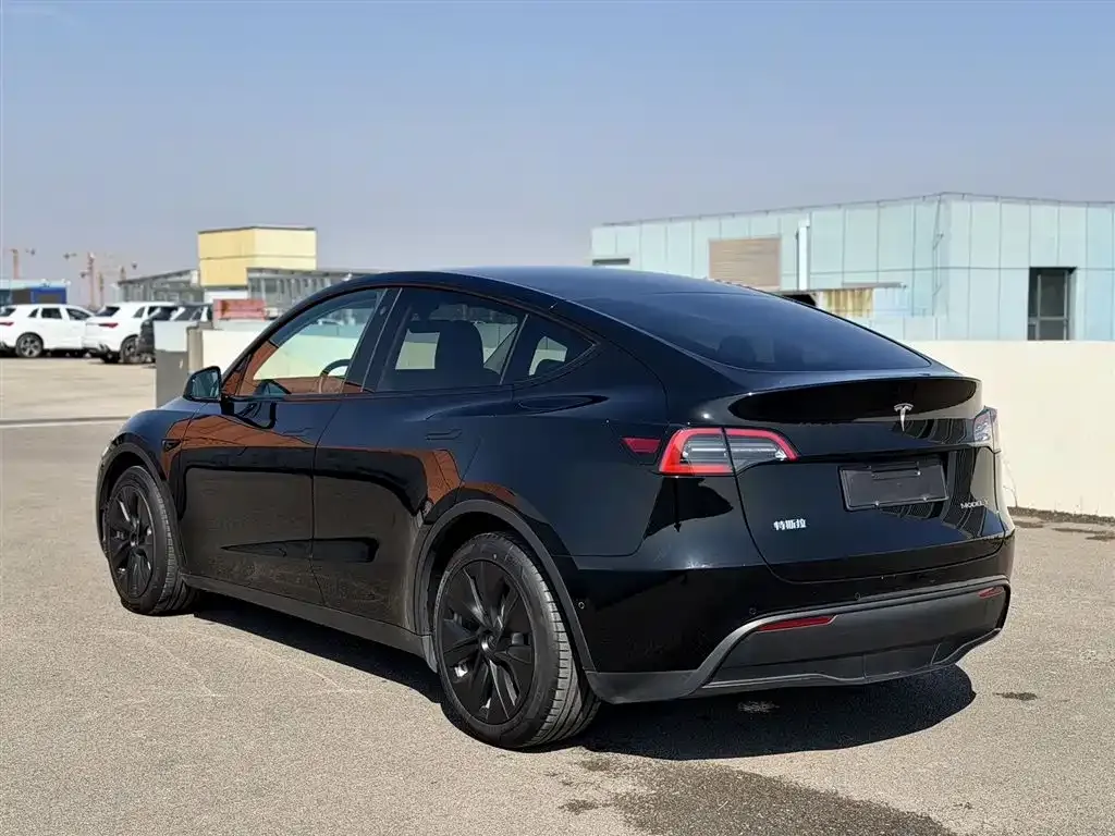 Tesla Model Y 2022 из CN, фото 5