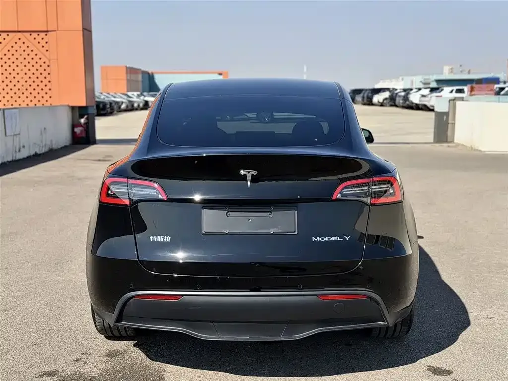 Tesla Model Y 2022 из CN, фото 3
