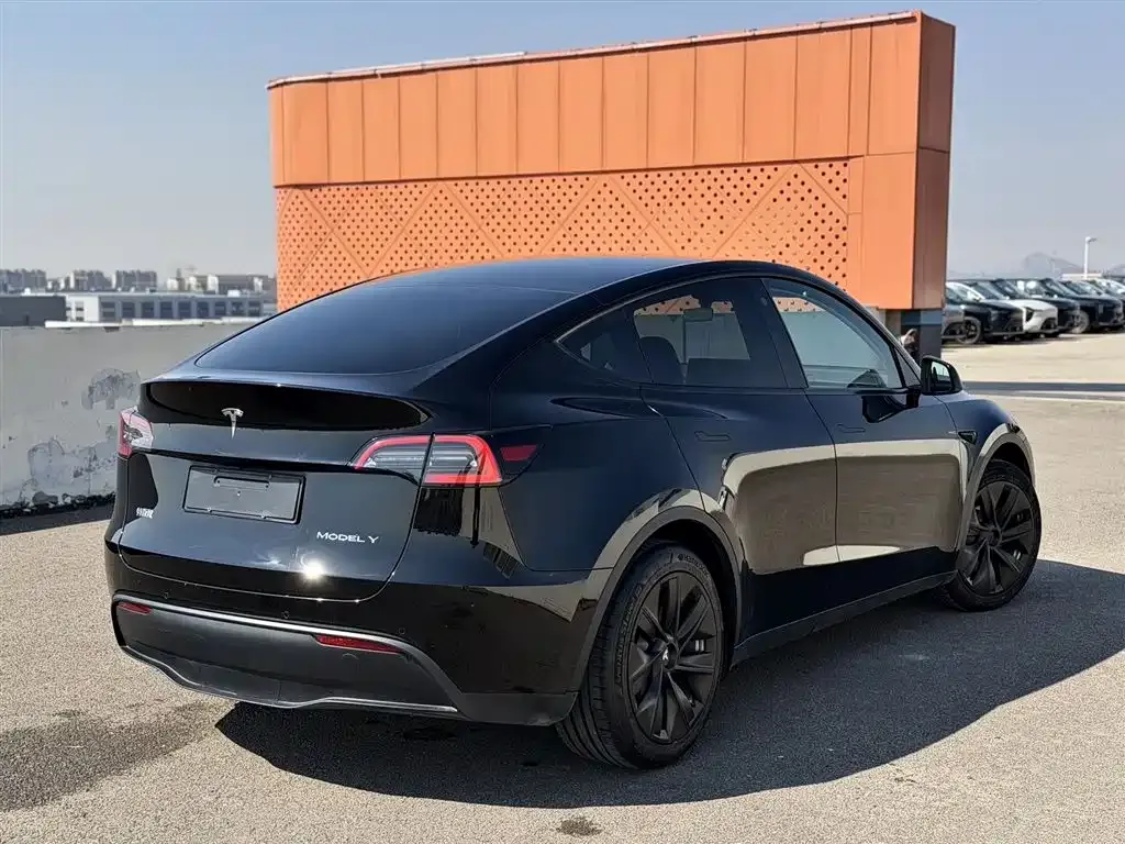 Tesla Model Y 2022 из CN, фото 7