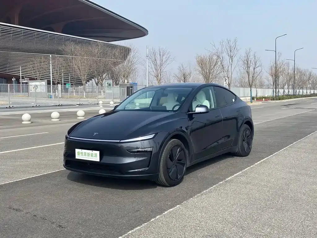 Tesla Model Y 2025 из CN, фото 1