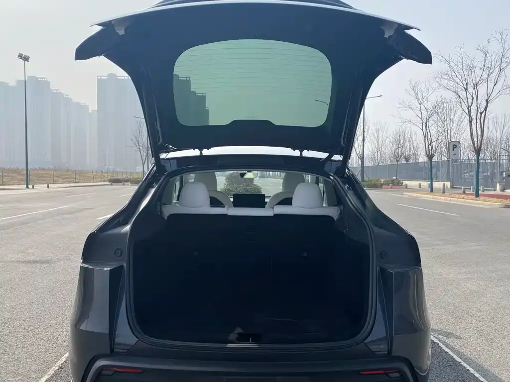 Tesla Model Y 2025 из CN, фото 3