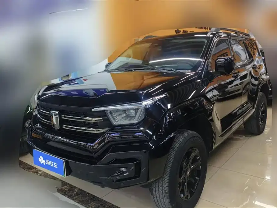 Tank 400 New Energy 2024 из CN, фото 1