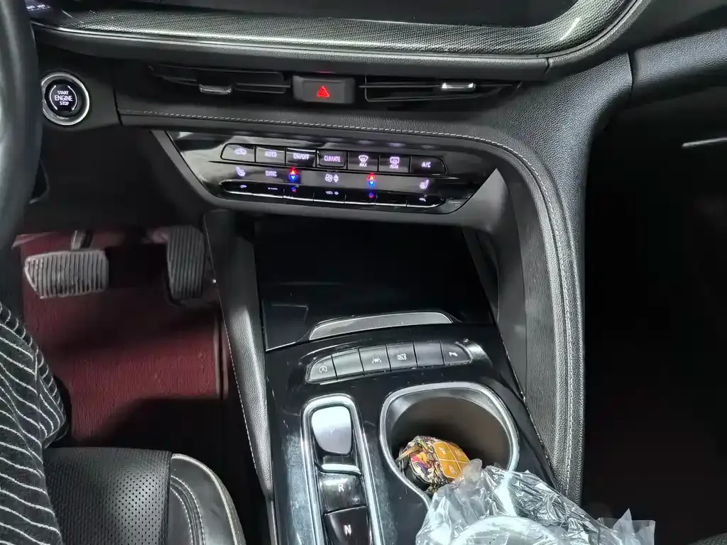 Buick Envision Plus 2021 из CN, фото 8