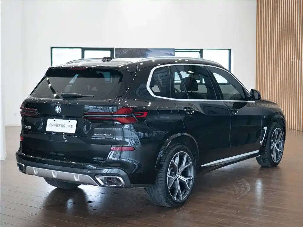 BMW X5 2023 из CN, фото 9
