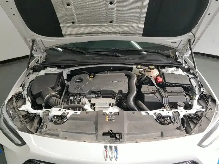Buick Regal — фото 10