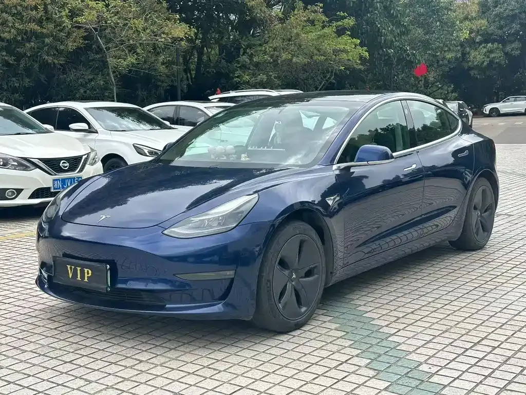 Tesla Model 3 2021 из CN, фото 1