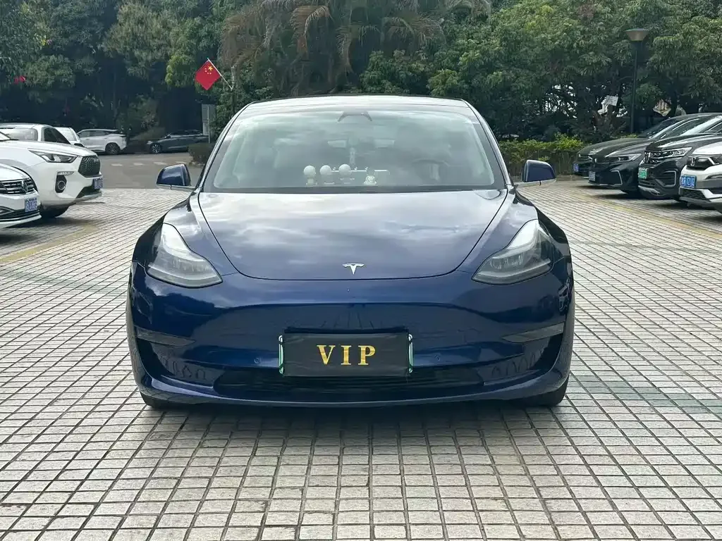 Tesla Model 3 2021 из CN, фото 7