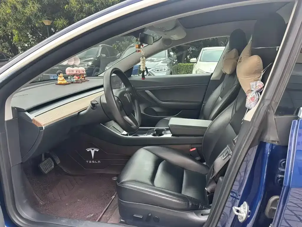 Tesla Model 3 2021 из CN, фото 3