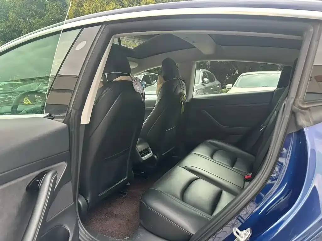 Tesla Model 3 2021 из CN, фото 2