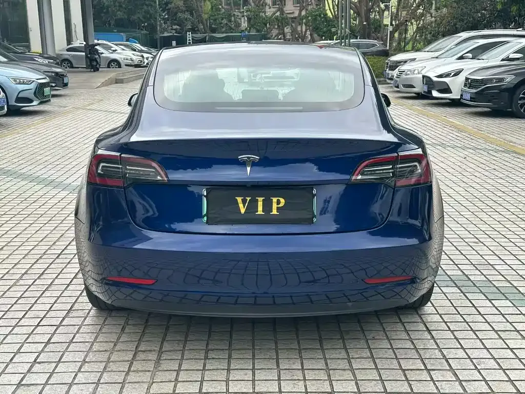 Tesla Model 3 2021 из CN, фото 8