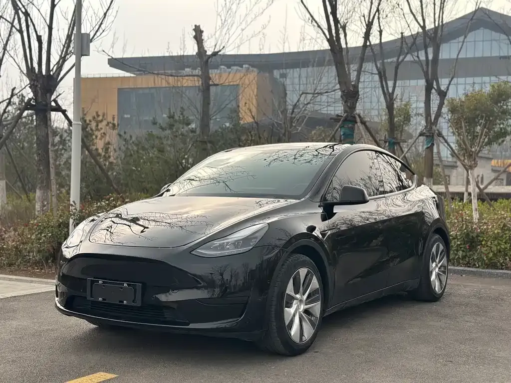 Tesla Model Y — фото 1
