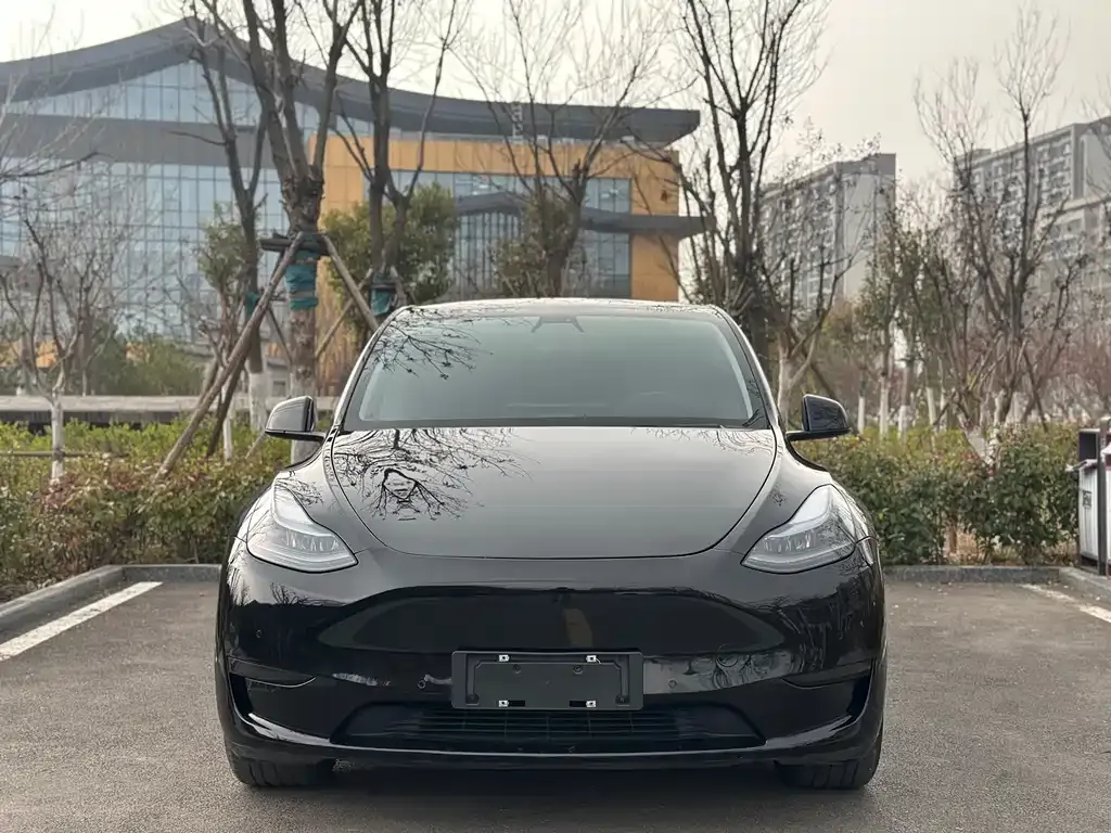 Tesla Model Y — фото 5