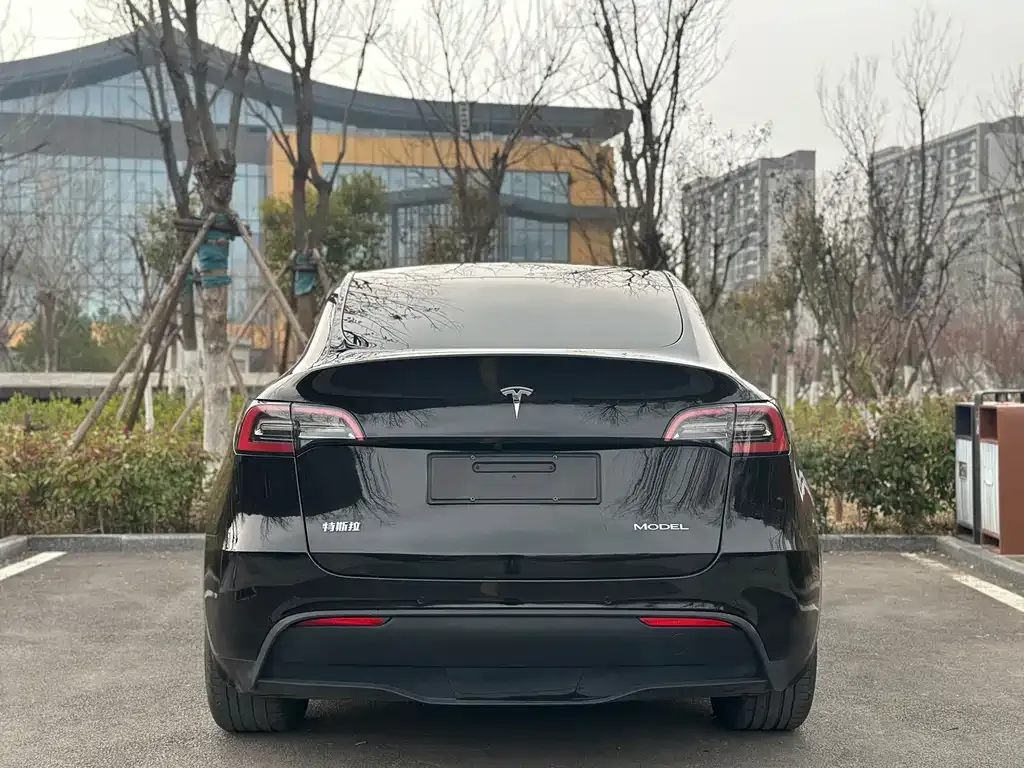 Tesla Model Y — фото 8