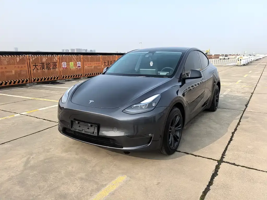 Tesla Model Y — фото 4