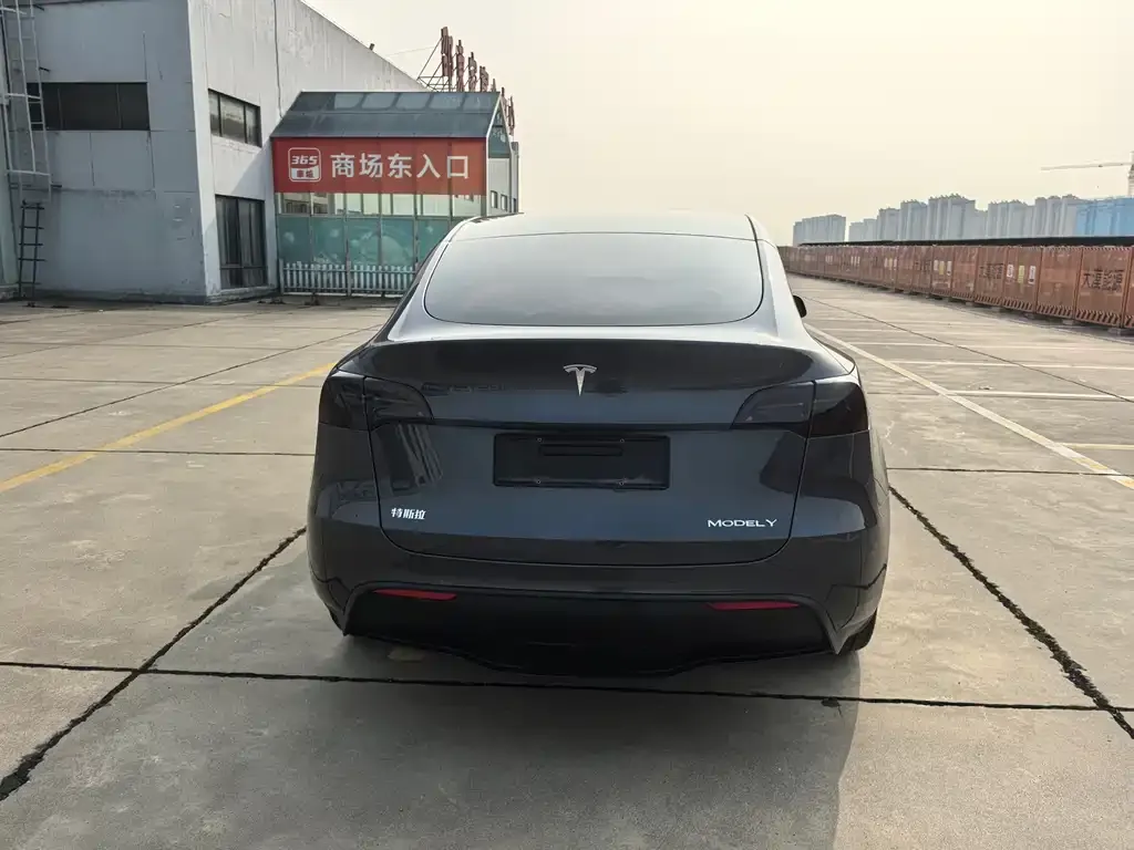 Tesla Model Y — фото 8