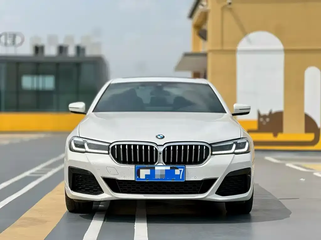 BMW 5 Series 2023 из CN, фото 3