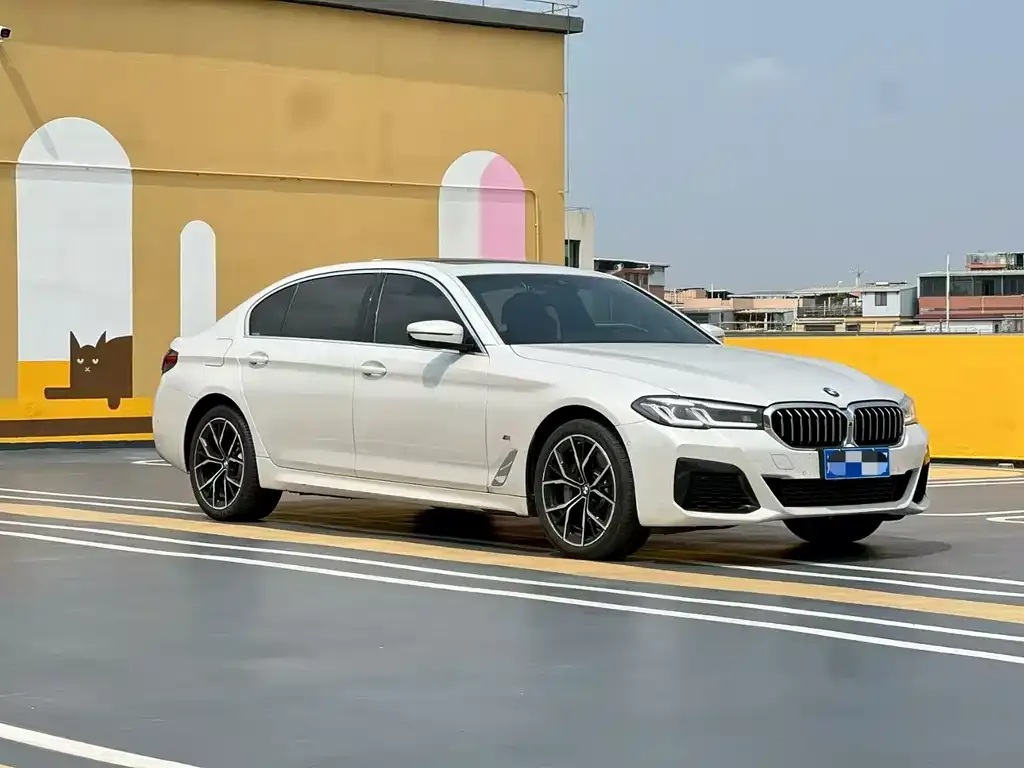 BMW 5 Series 2023 из CN, фото 6
