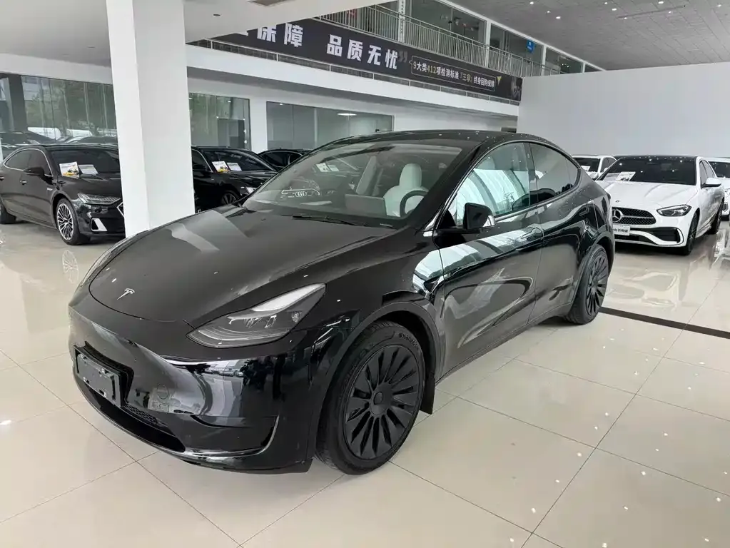Tesla Model Y — фото 1