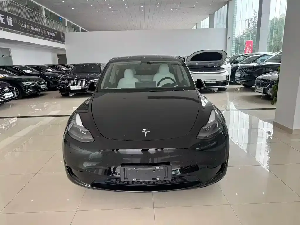 Tesla Model Y — фото 5