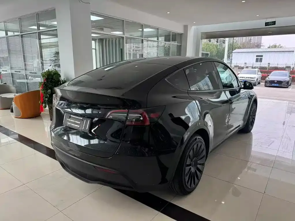 Tesla Model Y — фото 3