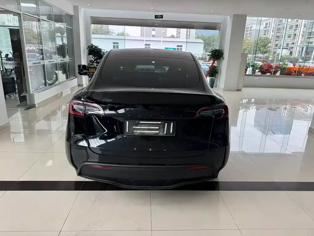 Tesla Model Y — фото 9
