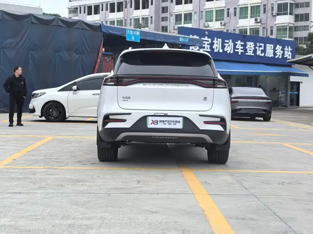 BYD Tang New Energy — фото 9