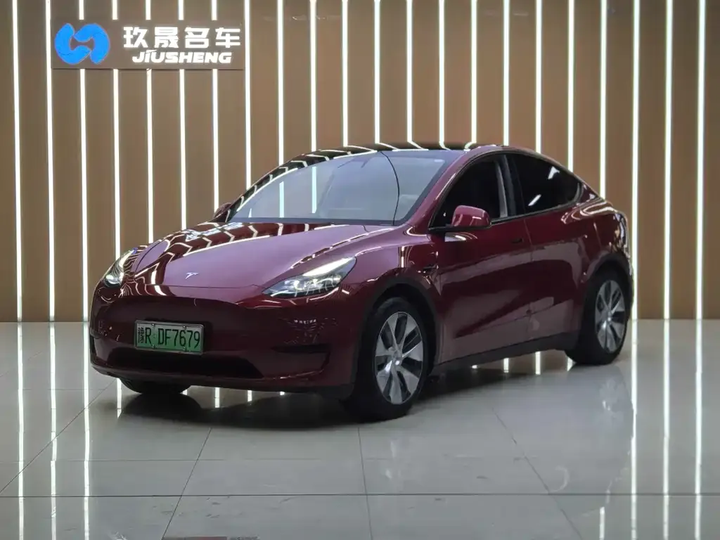 Tesla Model Y — фото 1