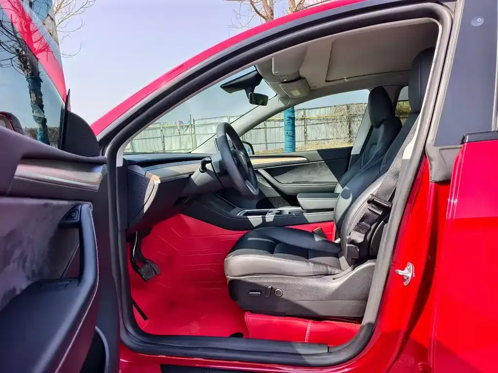 Tesla Model Y — фото 10