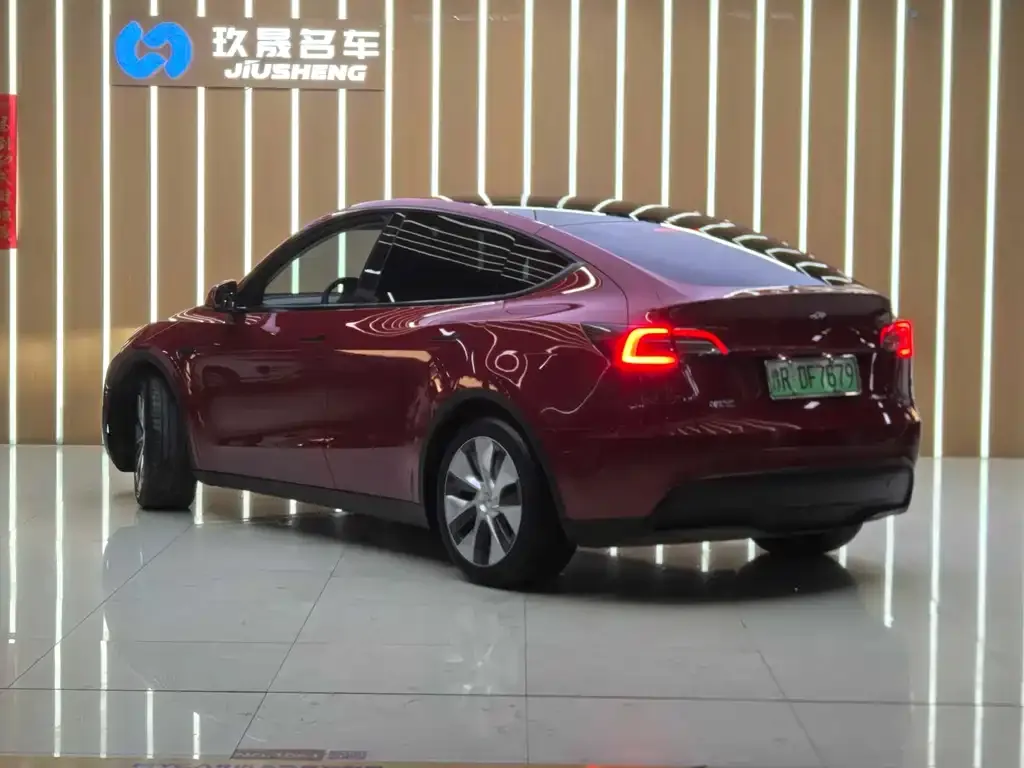 Tesla Model Y — фото 3