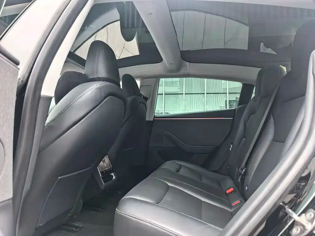 Tesla Model 3 2023 из CN, фото 2