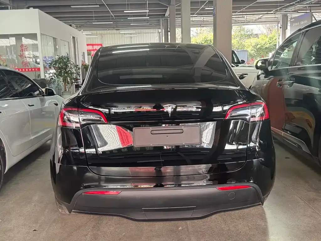 Tesla Model Y — фото 8