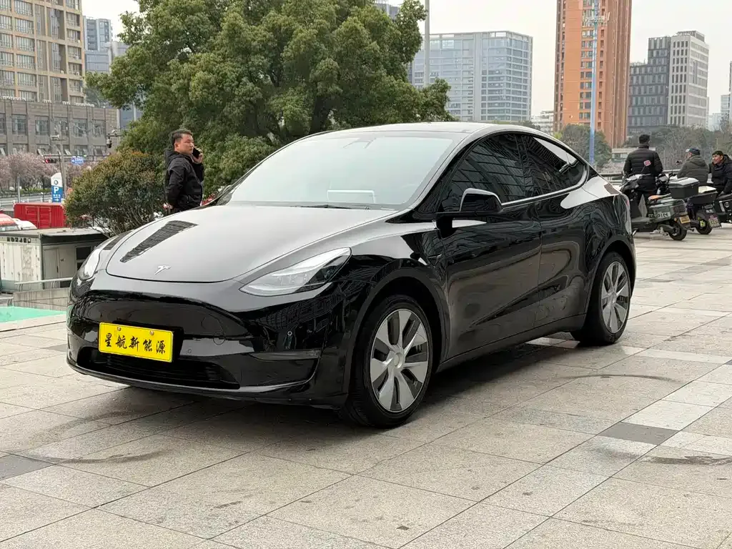 Tesla Model Y — фото 1