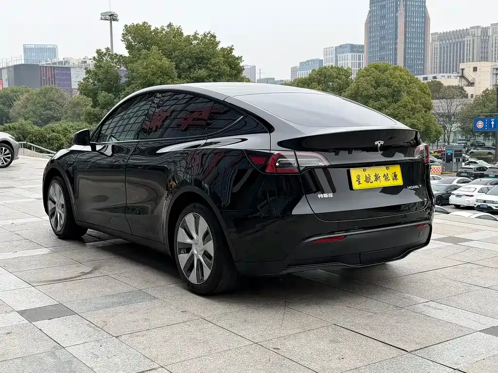 Tesla Model Y — фото 5