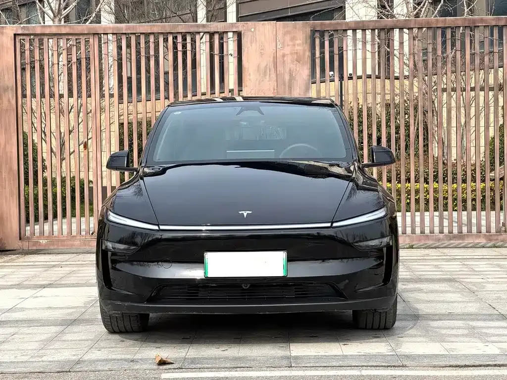 Tesla Model Y — фото 8