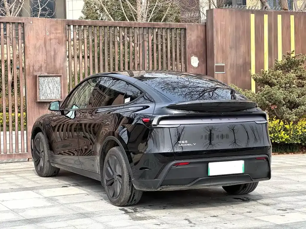 Tesla Model Y — фото 10