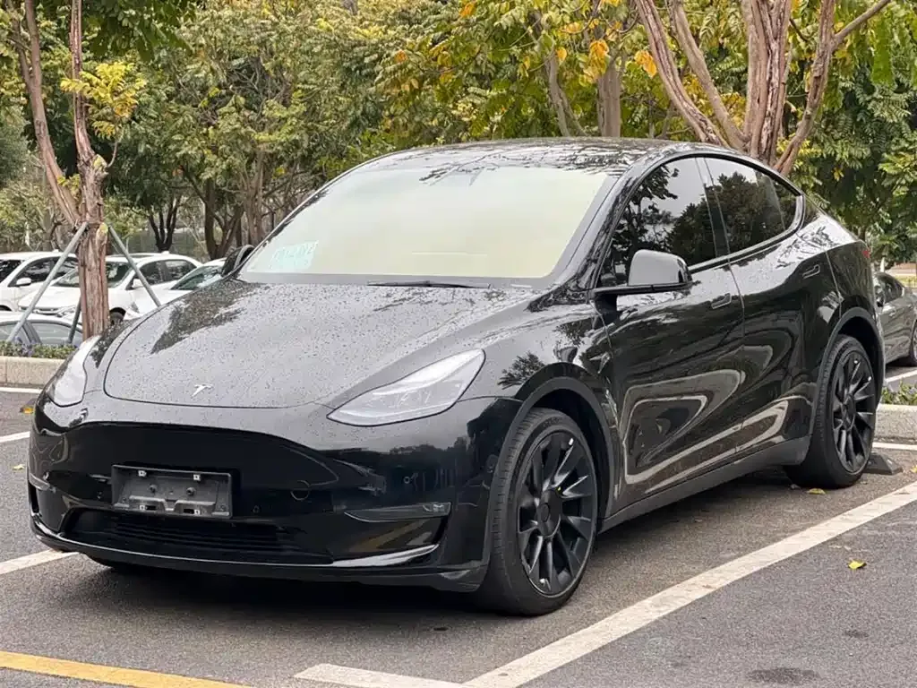 Tesla Model Y — фото 1