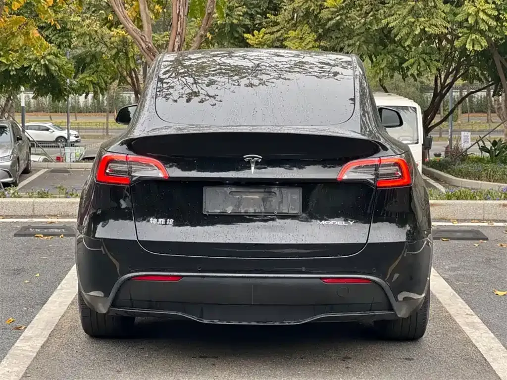 Tesla Model Y — фото 9