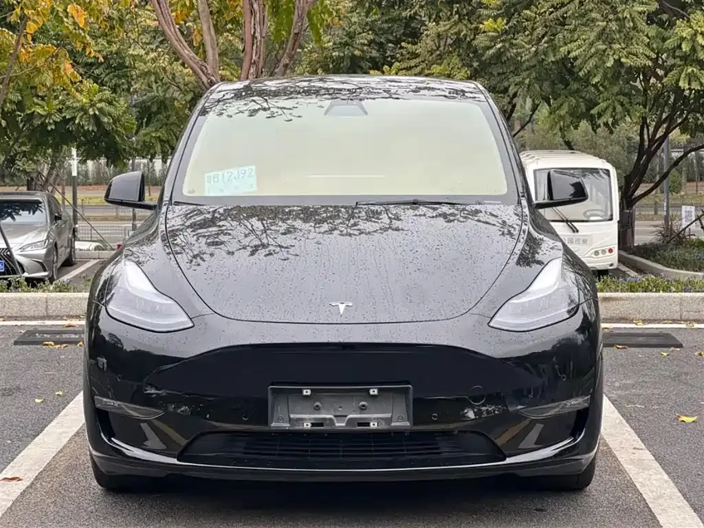 Tesla Model Y — фото 6