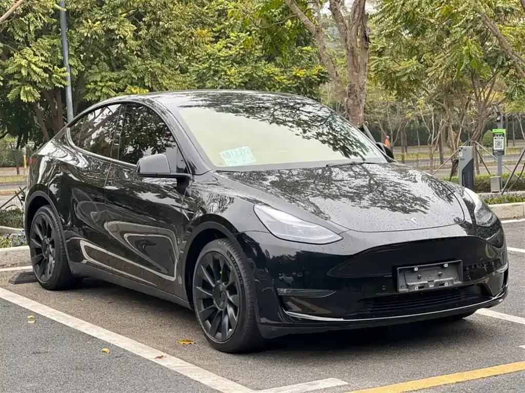 Tesla Model Y — фото 8