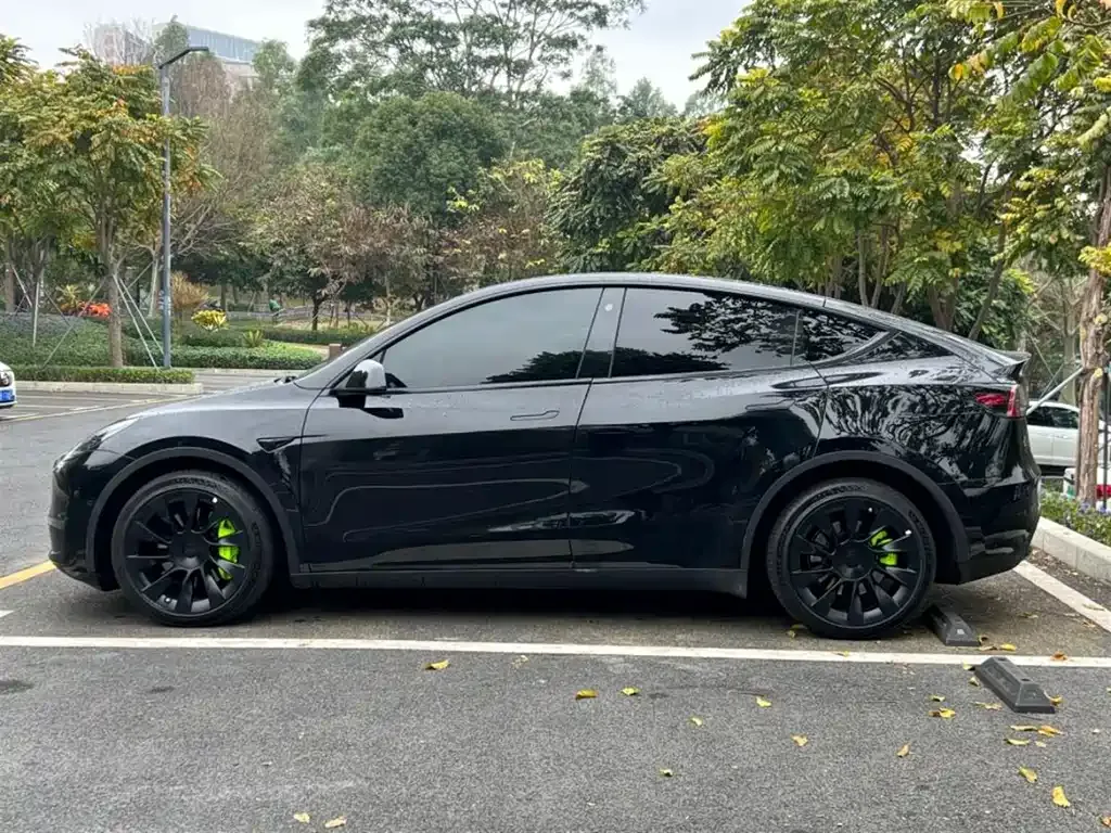 Tesla Model Y — фото 10