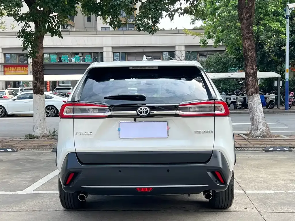 Toyota Wildlander 2022 из CN, фото 9