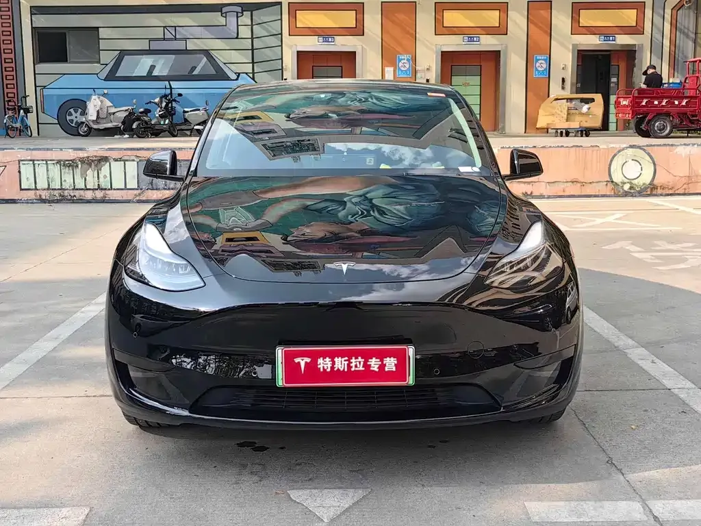 Tesla Model Y 2023 из CN, фото 4