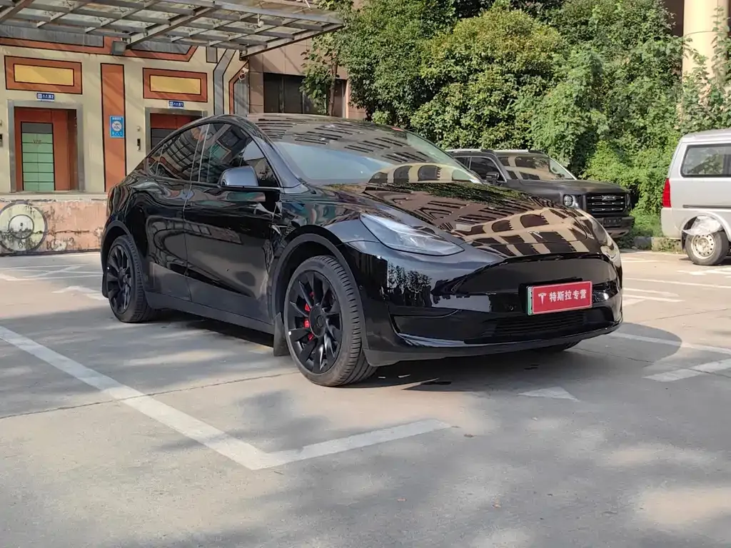 Tesla Model Y 2023 из CN, фото 6