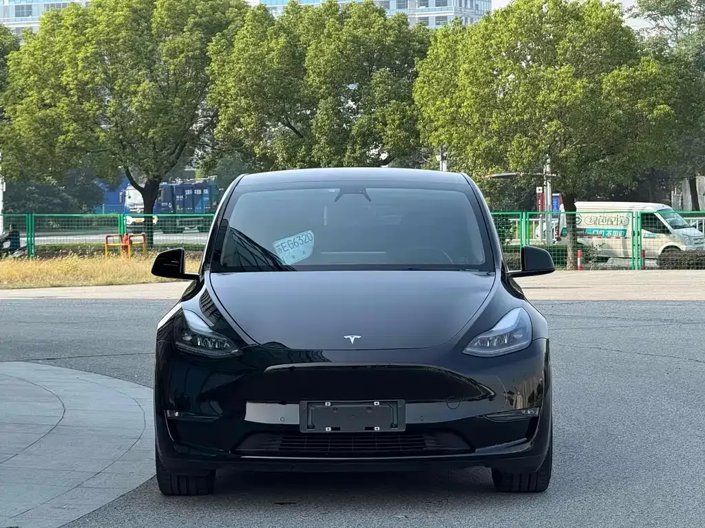Tesla Model Y — фото 10