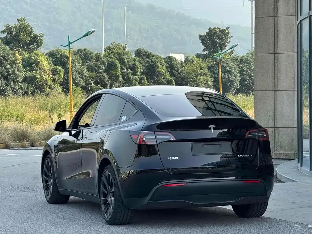 Tesla Model Y — фото 6