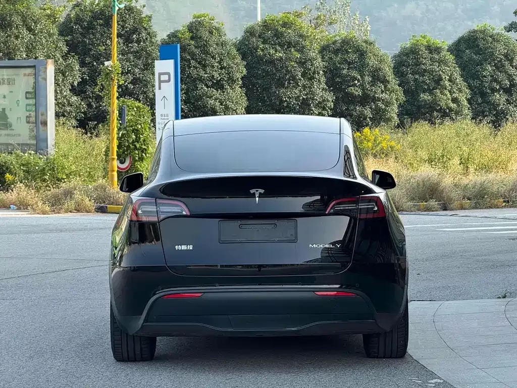 Tesla Model Y — фото 7