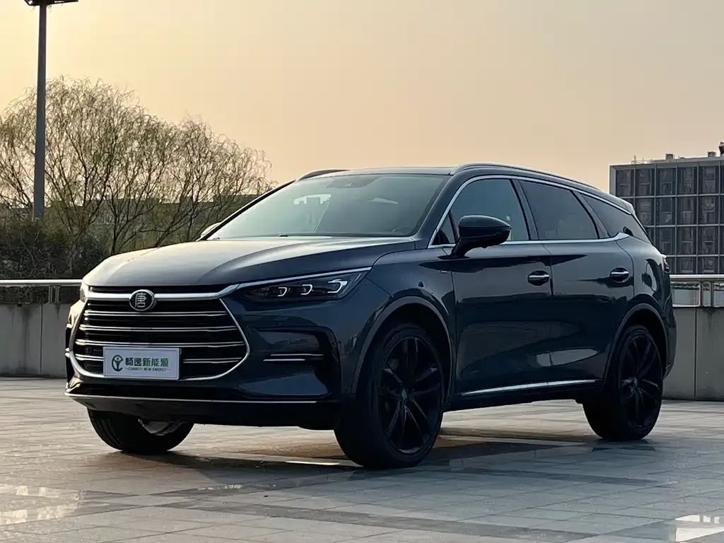BYD Tang New Energy 2021 из CN, фото 1