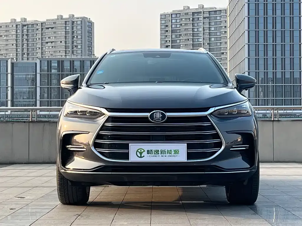 BYD Tang New Energy 2021 из CN, фото 3