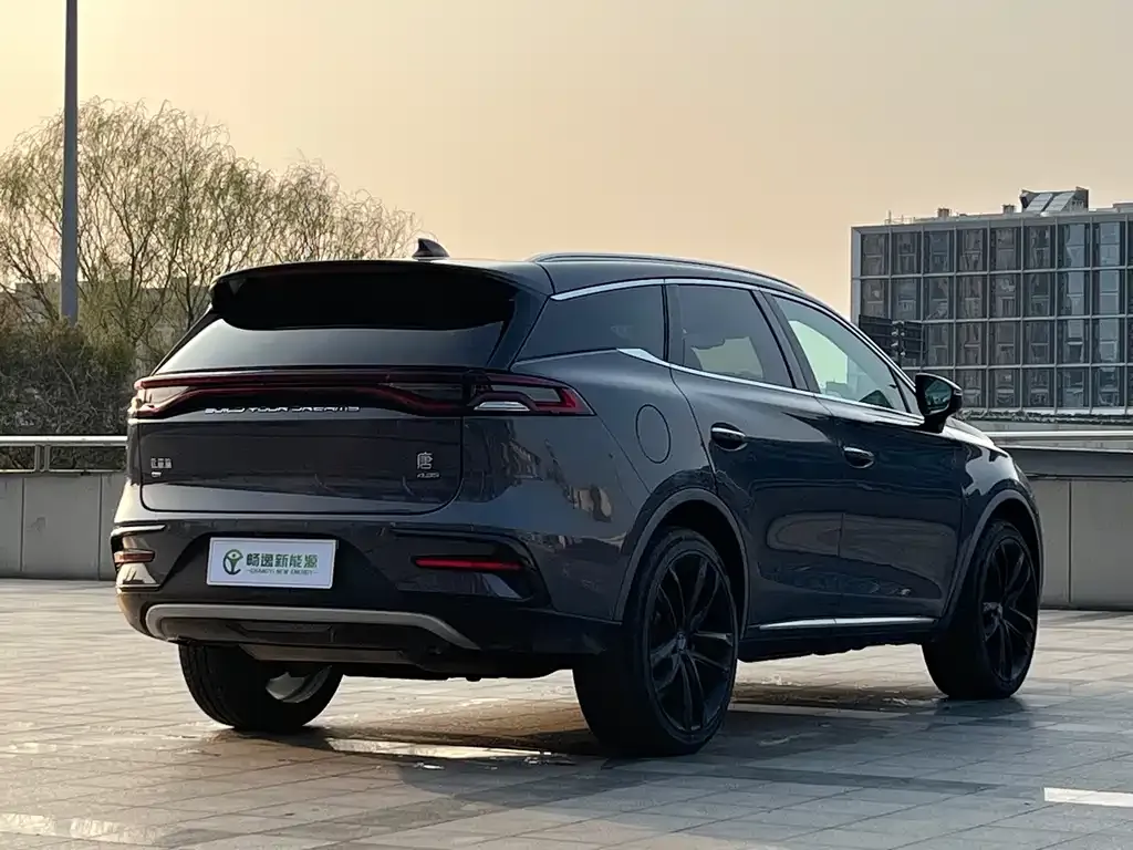 BYD Tang New Energy 2021 из CN, фото 2